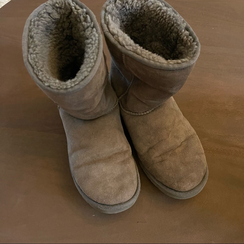 Gray classic ugg boots